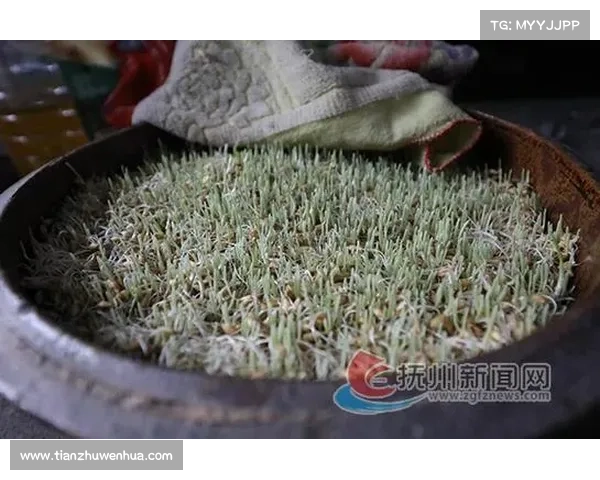 灌香糖的传统制作工艺与现代演变探析 灌香糖的传统制作工艺与现代演变探析