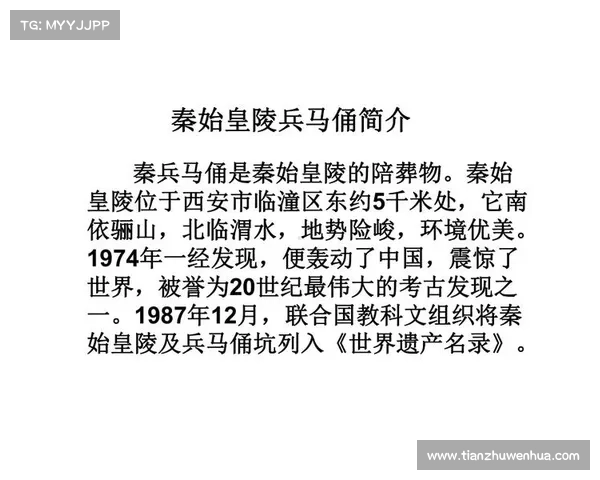 兵马俑分布特征及其历史文化背景探讨 兵马俑分布特征及其历史文化背景探讨