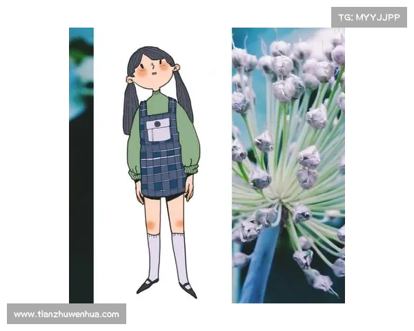 巴舒亚伊语言与文化的深度探秘与多元化表达探讨